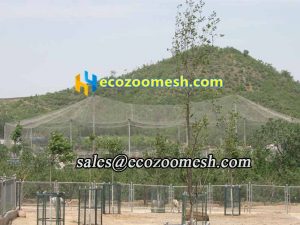 free-flying mesh aviary, Stainless steel wire rope aviary net