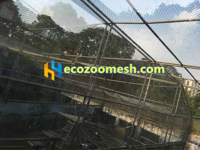 Green baboon exhibit fence