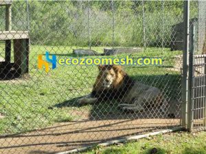 Flexible mesh lion cage net