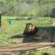 Flexible mesh lion cage net