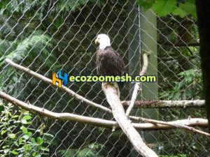 Eagle exhibit mesh netting fence