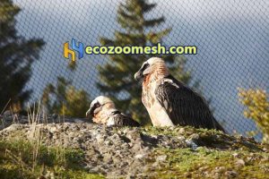 Eagle exhibit mesh netting, large birds exhibit aviary