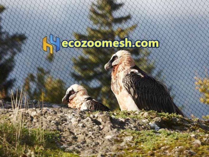 Eagle exhibit mesh netting, large birds exhibit aviary