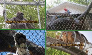 what is a zoo enclosure