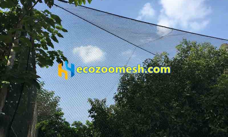 Stainless cable aviary nets, Aviary wire mesh