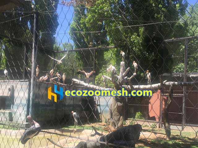 bird aviary wire mesh