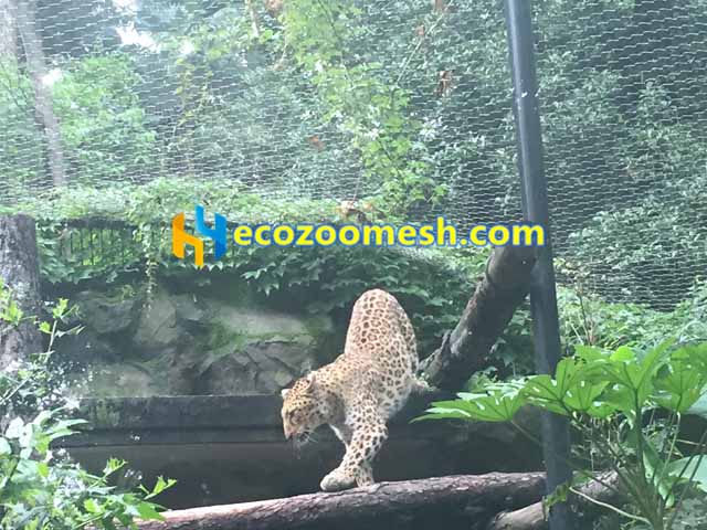 Leopard Enclosure Wire Mesh, leopard cage fence, leopard exhibit
