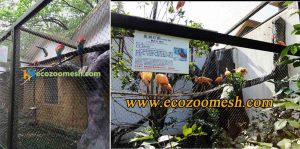 aviary mesh,Stainless cable aviary nets, Aviary wire mesh