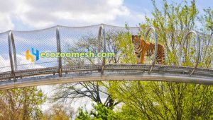 animal fence, tiger walk courtesy