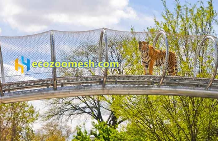 animal fence, tiger walk courtesy