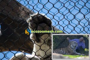 Fierce animal tiger cage net