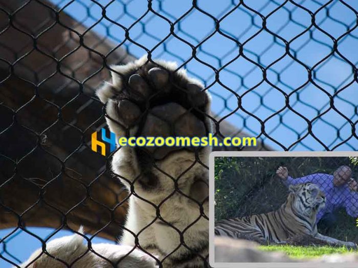 Fierce animal tiger cage net