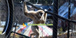 Wire Mesh Animal Paths