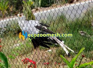 Black Stainless Steel Birds Garden Sky net