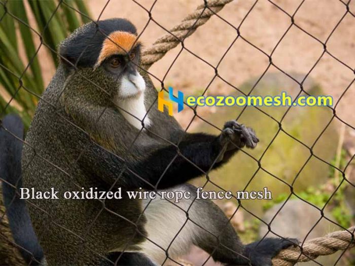 Black oxidized wire rope baboon fence mesh