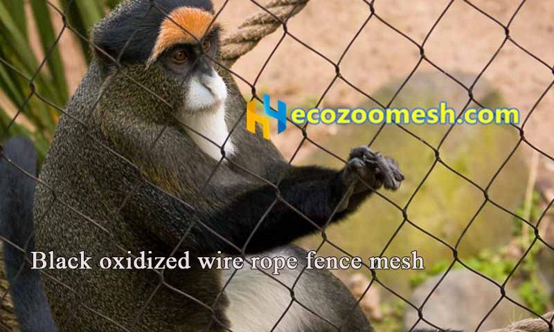 Black oxidized wire rope baboon fence mesh
