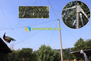 FACTORY PRICE of Rope mesh zoological gardens aviary