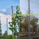 Factory supplier of Animal cage wire rope barrier fence- ecozoomesh