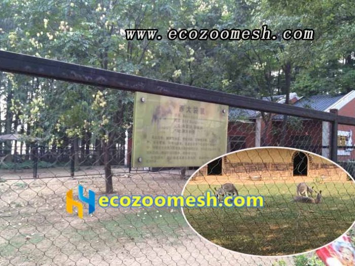 Antelope wire rope fence factory direct sales, kangaroo fencing design --Ecozoomesh