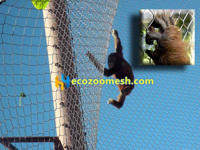 Factory sales of gorilla metal mesh exhibit enclosure - Ecozoomesh