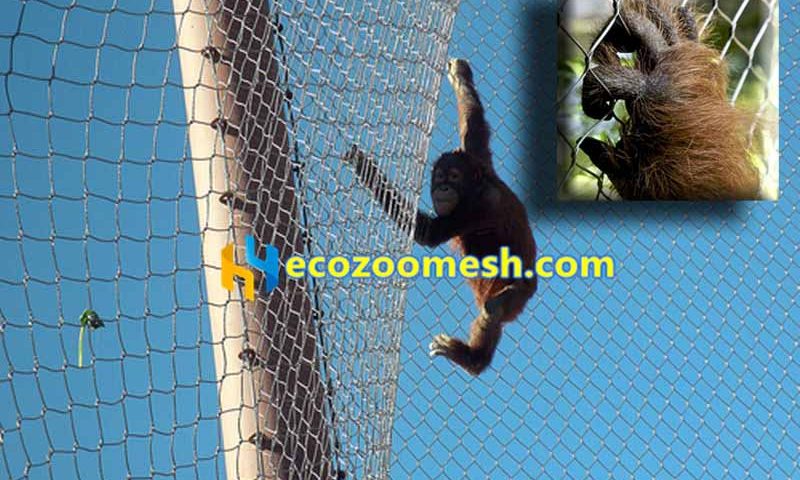 Factory sales of gorilla metal mesh exhibit enclosure - Ecozoomesh