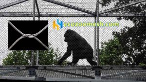 Factory sales of gorilla metal mesh exhibit enclosure - Ecozoomesh