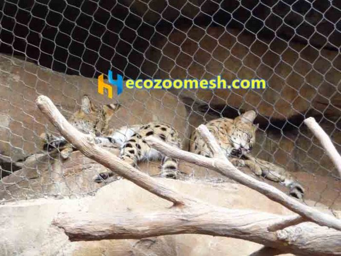 Leopard fence mesh factory, fence mesh for zoo leopard exhibit for sale