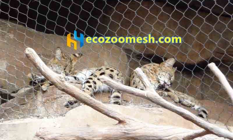 Leopard fence mesh factory, fence mesh for zoo leopard exhibit for sale