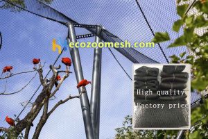 Black Stainless Steel Birds Garden Sky net