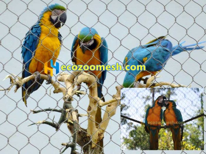 Macaw aviary design, Macaw aviary wire mesh