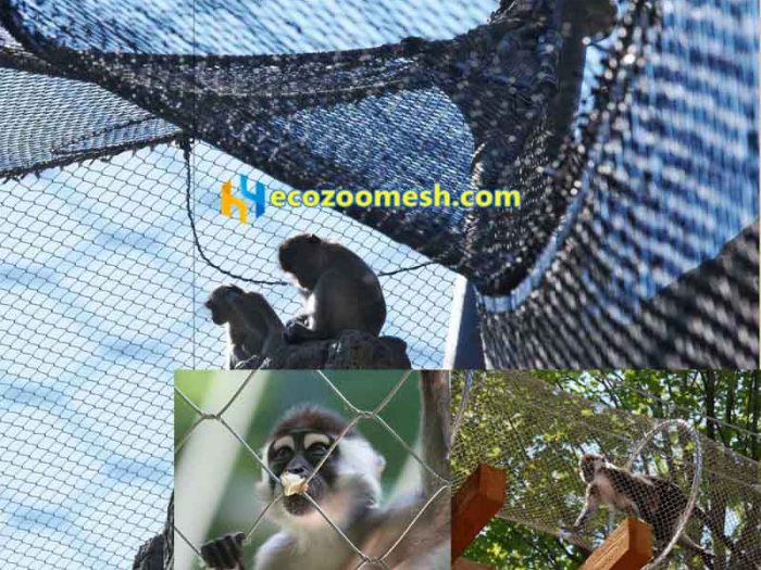 Animal Rope mesh solutions, flexible stainless steel cable mesh-ecozoomesh