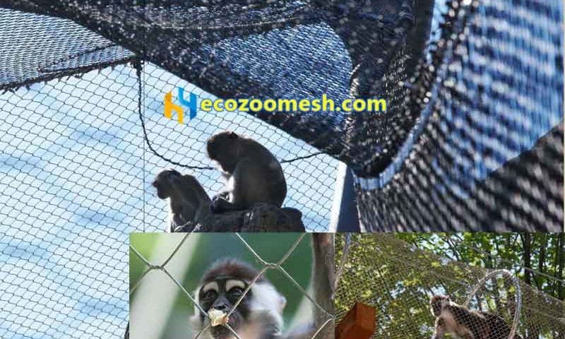 Animal Rope mesh solutions, flexible stainless steel cable mesh-ecozoomesh