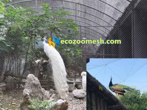 peacock exhibit aviary mesh