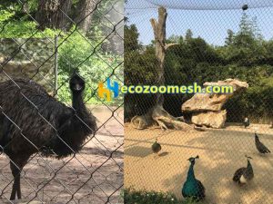 peacock exhibit aviary mesh