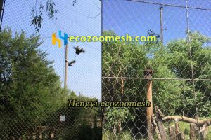 Birdcage wire mesh supplier, Cage wire mesh factory supplier—Ecozoomesh