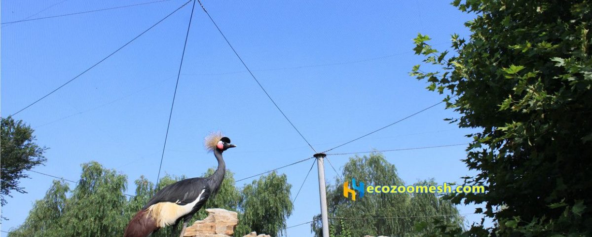 stainless steel wire rope mesh home4-6