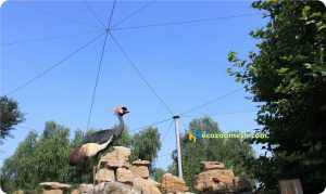 stainless steel wire rope mesh home4-6