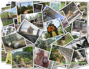 HY-stainless steel cable mesh project case