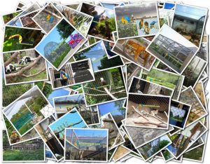 Hengyi-stainless-steel-cable-mesh-zoo-enclosure-project-cases