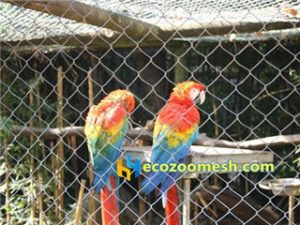 parrot cage mesh, aviary netting3
