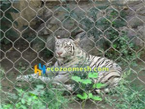 tiger enclosure fence mesh