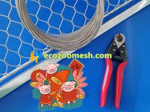 zoomesh-2019-new-year