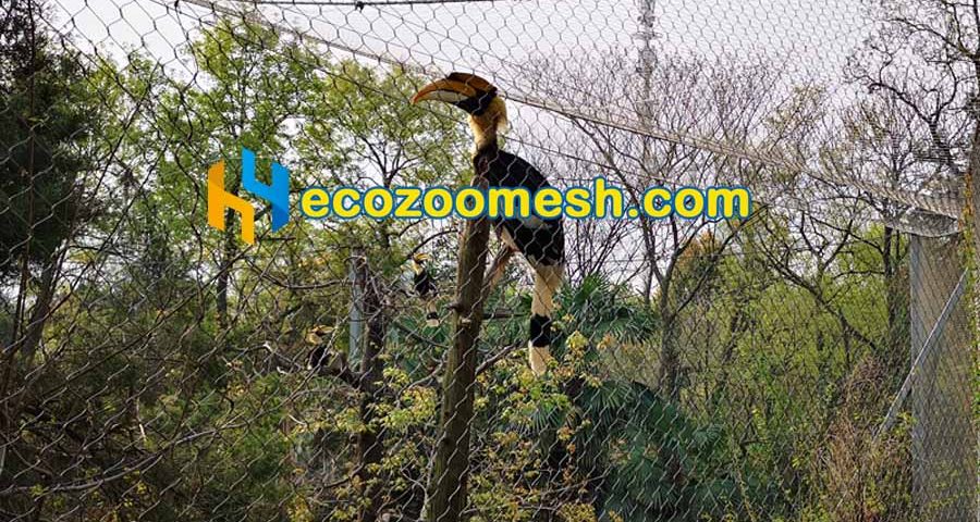Leopard Cage Fence  Zoo Mesh Supplier-Hengyi