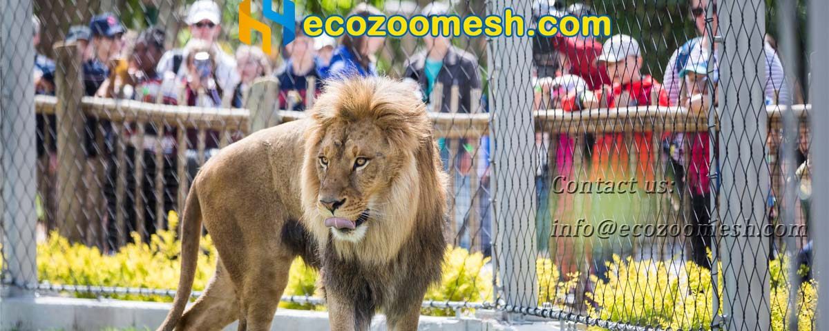 stainless steel wire rope mesh for zoo fence