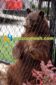 steel zoo mesh for bear enclosure fence