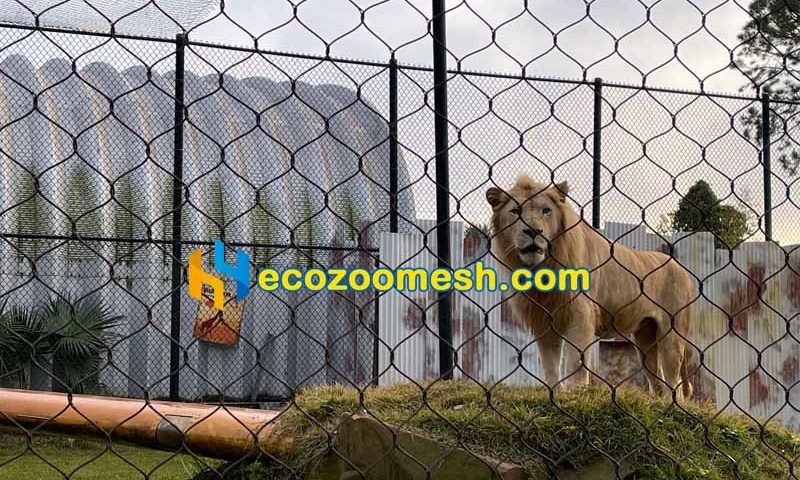 zoo animal enclosures for lions