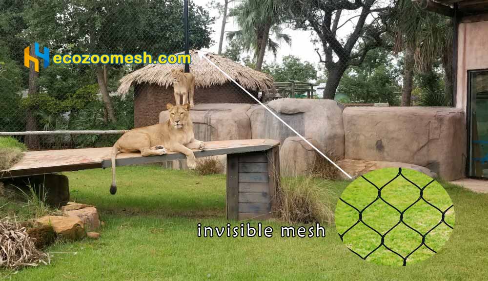 zoo animal enclosures for lion | Zoo Mesh Supplier-Hengyi