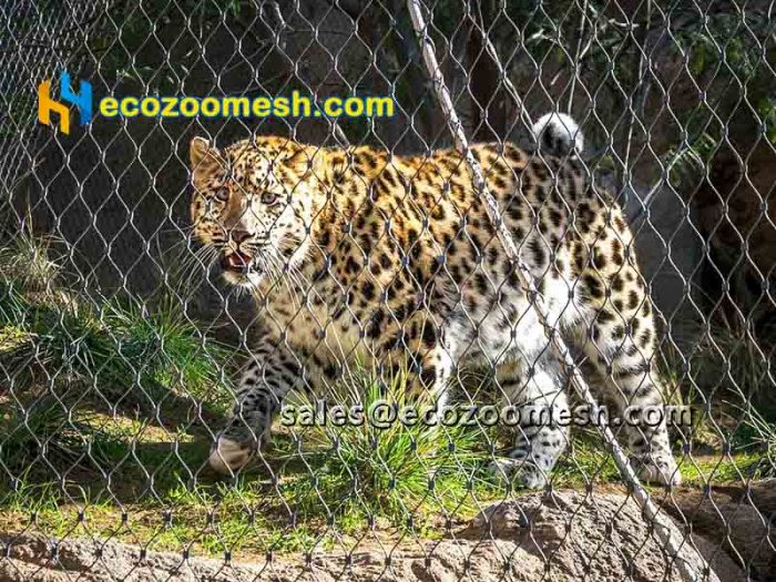 Leopard Enclosure Wire Mesh, leopard cage fence, leopard exhibit