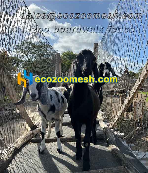 Zoo Boardwalk Fence Mesh