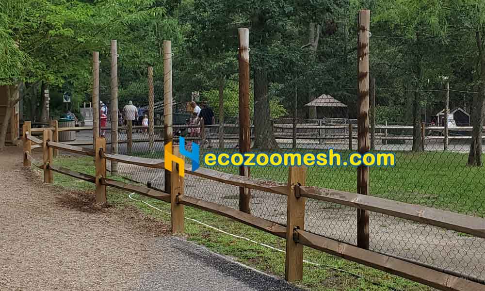 kangaroos fence with black zoo fence mesh